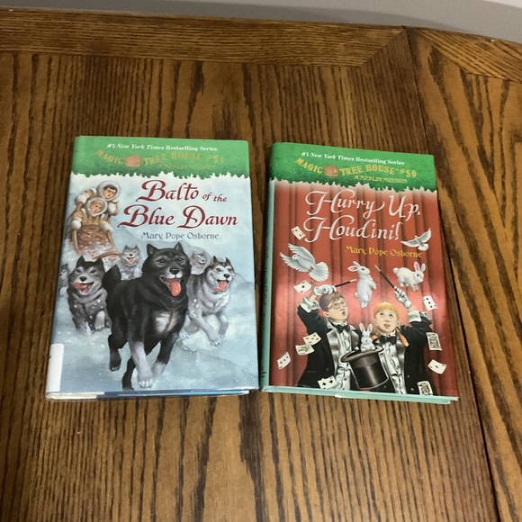 11 Magic Tree House books 📚 Merlin Mission - Picture 12 of 13